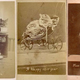 Illustration for article titled Vintage Photos Reveal Century-Long Obession with Dressing Up Pets